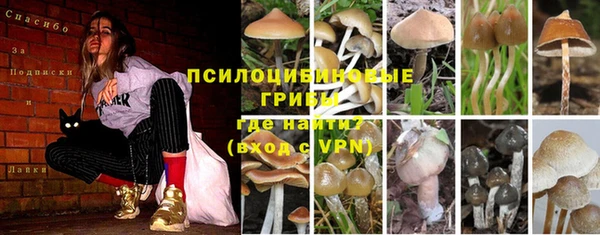 ешки Коряжма