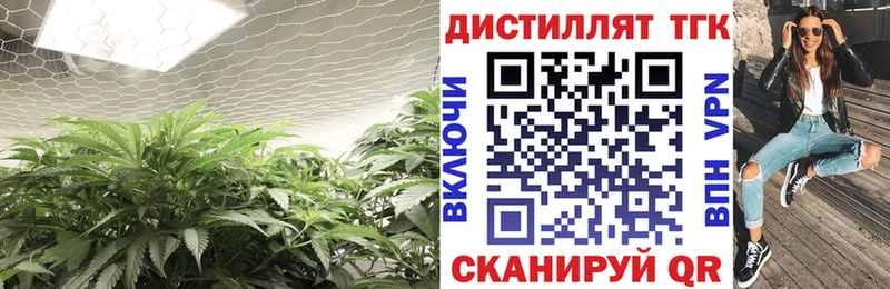 Купить закладки  Володарск  Дистиллят ТГК Wax 