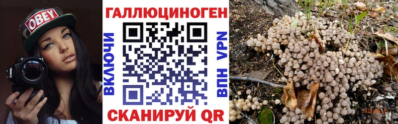 Купить где  Володарск  Псилоцибиновые грибы прущие грибы 